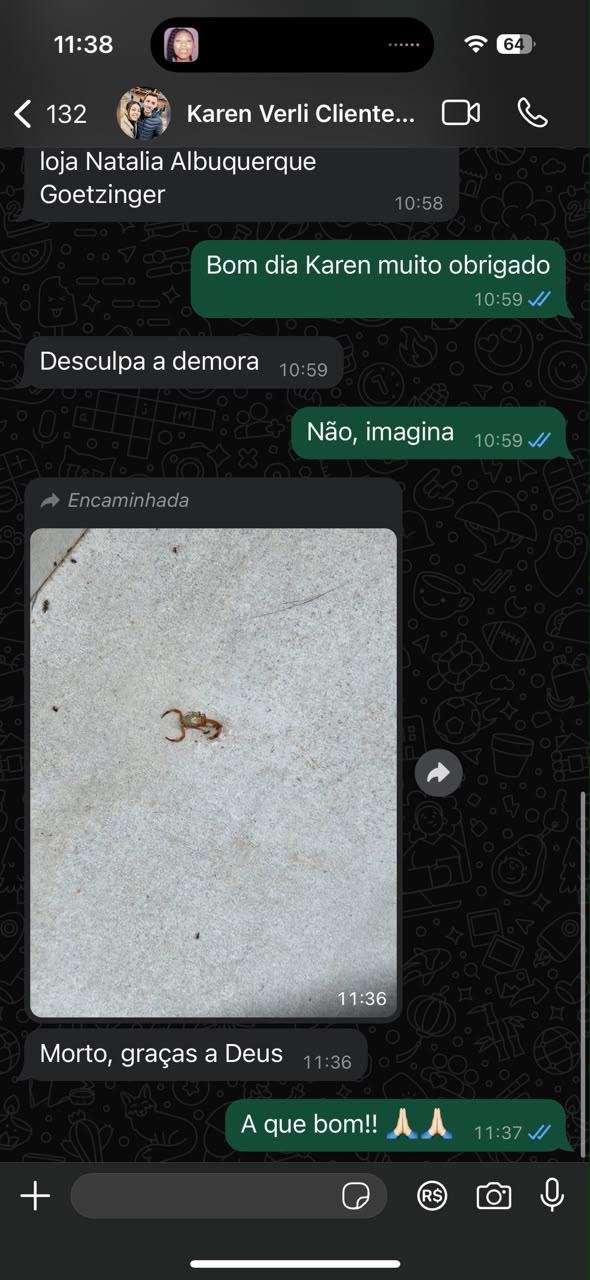 Conversa real de WhatsApp com Karen Verli