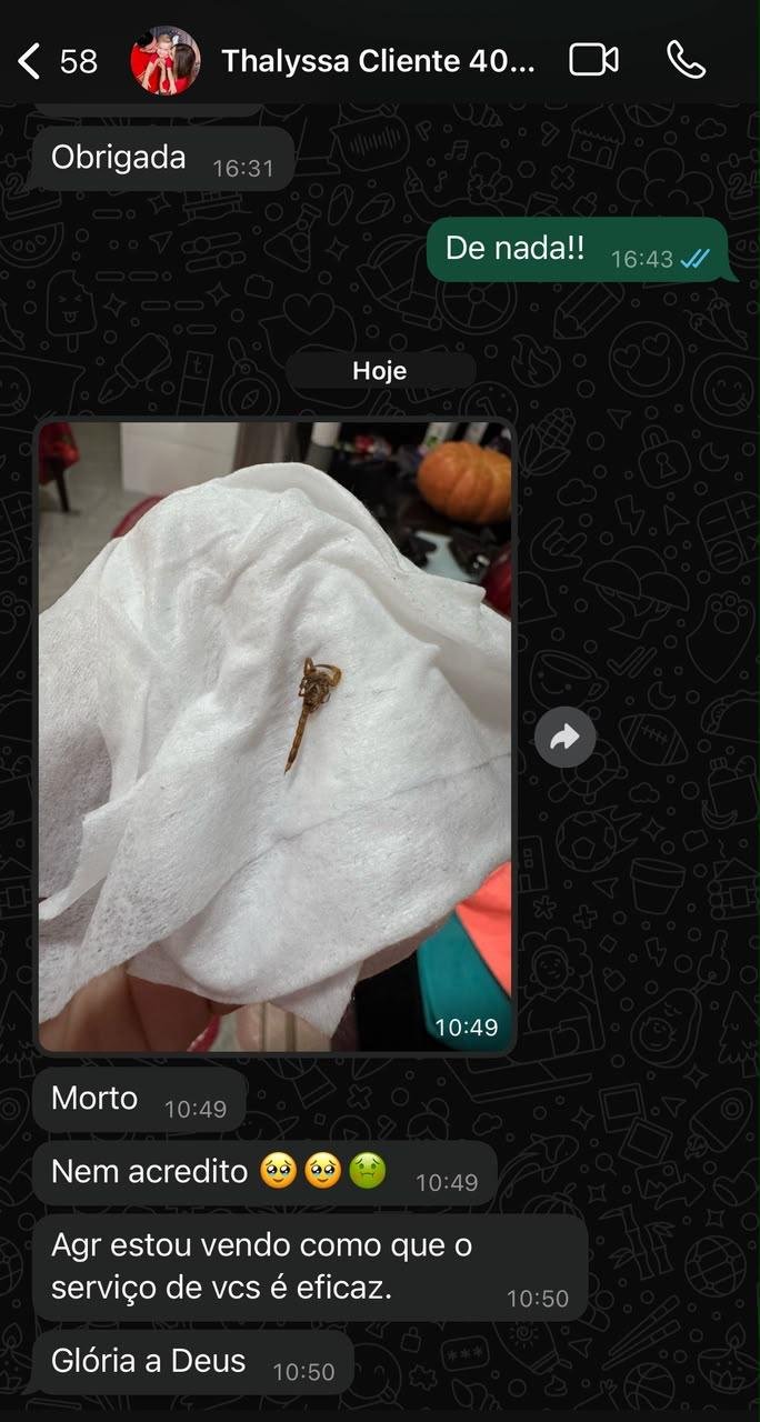 Conversa real de WhatsApp com Thalyssa
