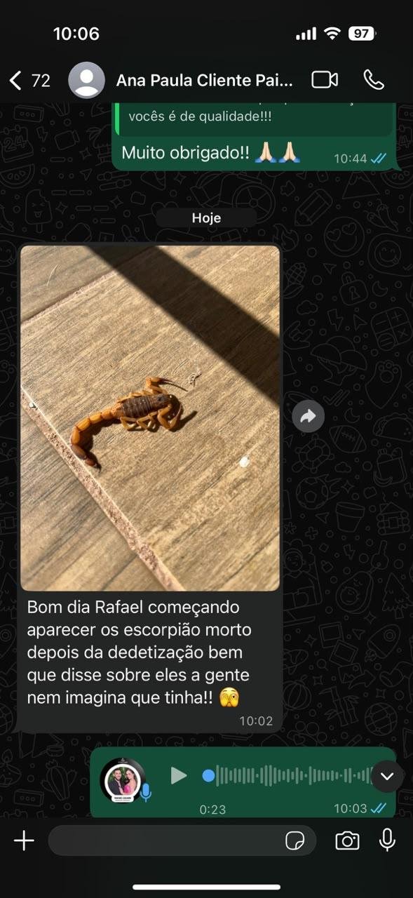 Conversa real de WhatsApp com Ana Paula