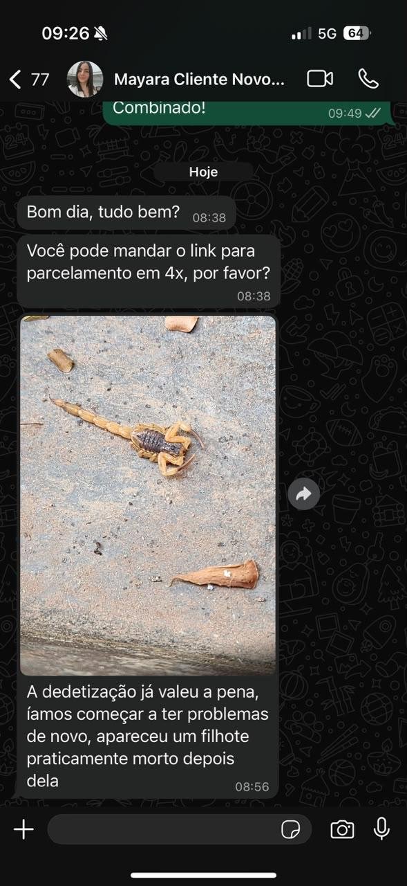 Conversa real de WhatsApp com Mayara